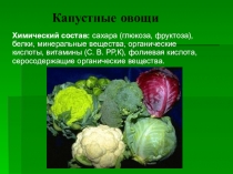 Презентация по товароведению продовольственных товаров Товароведная характеристика капустных овощей