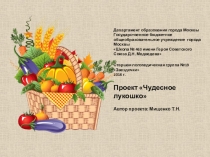 Презентация проекта Чудесное лукошко