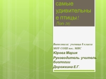 Презентация Самые-самые удивительные птицы (Топ-20)