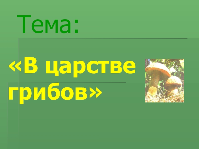 Презентация В царстве грибов