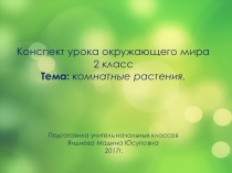 Комнатные растения