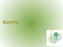 Презентация по географии Болото