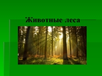 Презентация по природоведению на тему Животные леса (5 класс)
