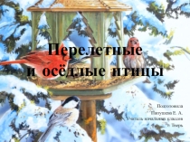 Презентация по окружающему миру на тему Перелетные и оседлые птицы + викторина