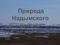 Природа Надымского района