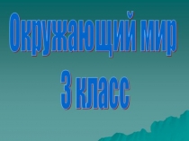 Окружающий мир Разнообразие растений3 класс