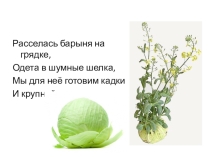 Презентация по биологиина тему Семейства Крестоцветные и Пасленовые 7 класс