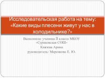 Презентация Какие виды плесени живут у нас в холодильнике?
