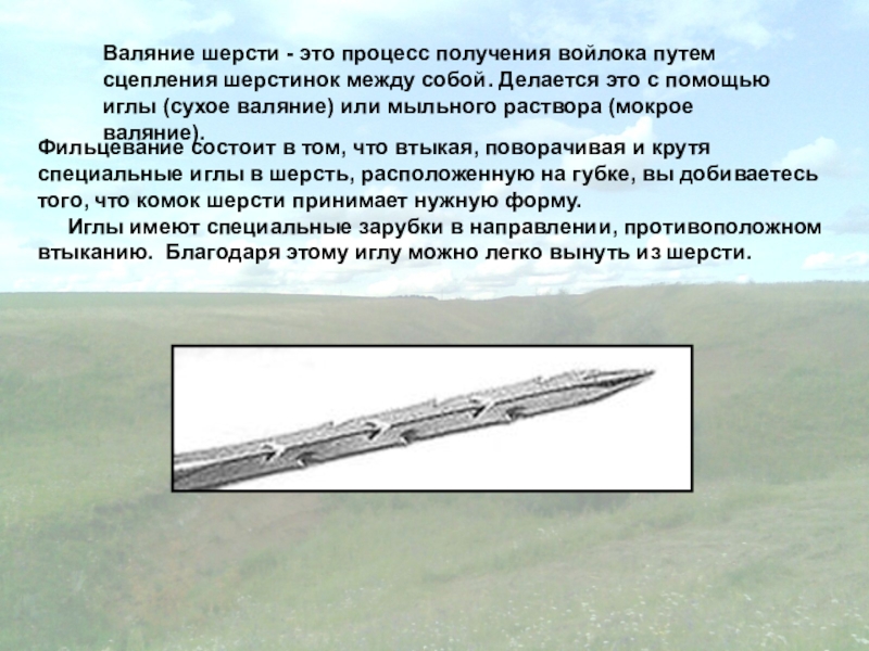 Презентация мастер-класса по технологии на тему Фрукты.Валяние (6 класс) Валяние шерсти - это процесс получения войлока путем сцепления шерстинок Валяние шерсти - это процесс получения войлока путем сцепления шерстинок между собой. Делается это с
