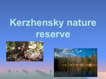Презентация по английскому языку Kerzhensky Reserve