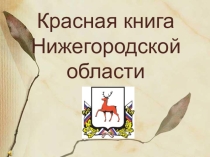 Презентация Красная книга Нижегородской области