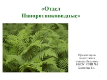 Презентация по биологии на тему  Отдел папоротниковидные .