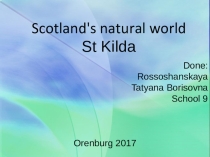 Презентация по английскому языку Scotland's natural world. St Kilda