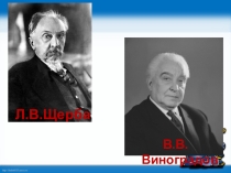 Презентация по русскому языку Части речи. Обобщение 3 клас