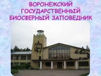 Презентация по познавательному развитию ВЗаповеднике