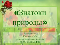 Презентация для внеурочных занятий по окружающему миру на тему Знатоки природы
