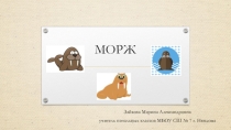 Презентация по окружающему миру Морж