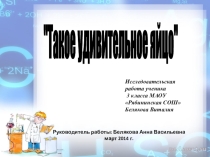 Презентация Такое удивительное яйцо - районная научно - практическая конференция детских исследовательских работ