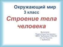 Презентация по окружающему миру Строение тела человека (3 класс)