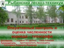 Короед-типограф