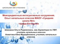 Презентация по теме МИП в начальной школе