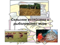 Презентация по географии на тему География сельского хозяйства