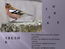 Презентация Зяблик