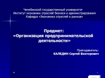 Организация предпринимательской деятельности. Презентация к Теме 4. Малое предпринимательство (Факультатив по экономике для учащихся старших классов образовательных учреждений)