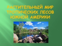Презентация Растительный мир тропических лесов.