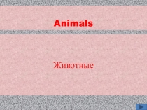Презентация к урок английского языка на тему Animals (5 класс)