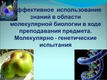 Презентация по теме:ГМО и его роль в жизни человека