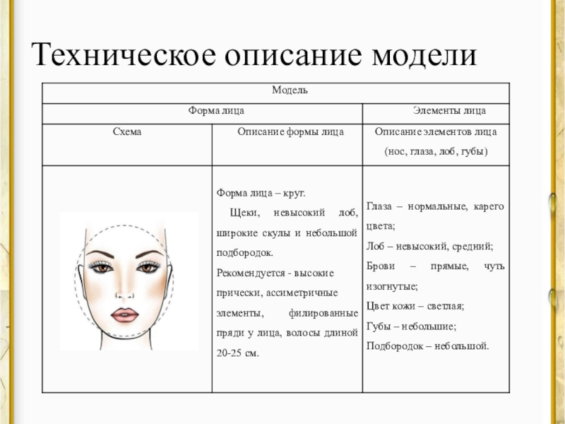 Презентация курсовой работы для специальности 43.02.02 Парикмахерское искусство Техническое описание модели Техническое описание модели