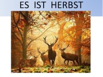 Презентация по немецкому языку для 6 класса Der Herbst