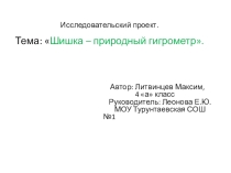 Презентация по исследовательской работе Шишка- природный гигрометр