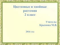 Презентация по окружающему миру на тему: Хвойные и цветковые растения (2 класс)