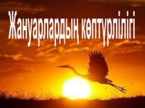 Дуниетану панинен ашык сабак Жануарлардын коптурлилиги