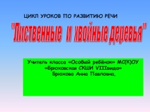 Презентация по развитию речи на тему Лиственные и хвойные деревья