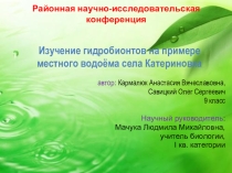 Презентация исследовательской работы по экологии Гидробионты местного става