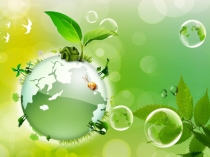 Жизнь в пресных водоёмах.