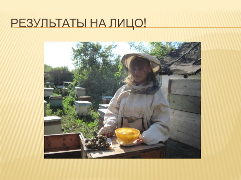 Презентация по биологии Влияние растений медоносов на продуктивность пчёл Результаты на лицо! Результаты на лицо!