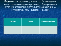 Презентация по биологии 8 класс