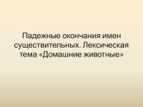 Логопедическое занятие Падежные окончания имен существительных ( 5 класс)