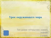 Презентация по окружающему миру Чудесные цветники осенью.