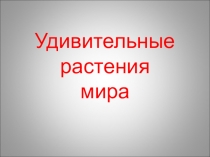 Авторские Презентации  Удивительные растения