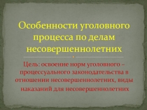Презентация  Особенности уголовного процесса по делам несовершеннолетних