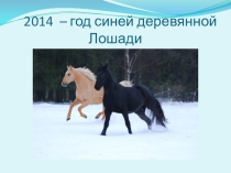 Презентация  Год Синей Деревянной Лошади