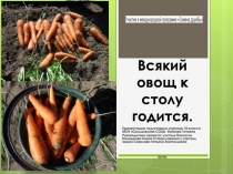 Презентация результатов участия в международной программе Семена Дружбы.