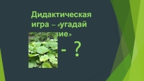 Презентация по ботанике на тему дидактическая игра - Угадай растение
