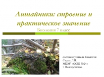 Презентация Лишайники: строение и практическое значение , биология 7 класс