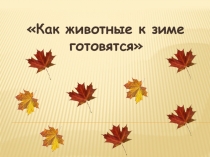 Презентация по экологии для дошкольников Как животные к зиме готовятся